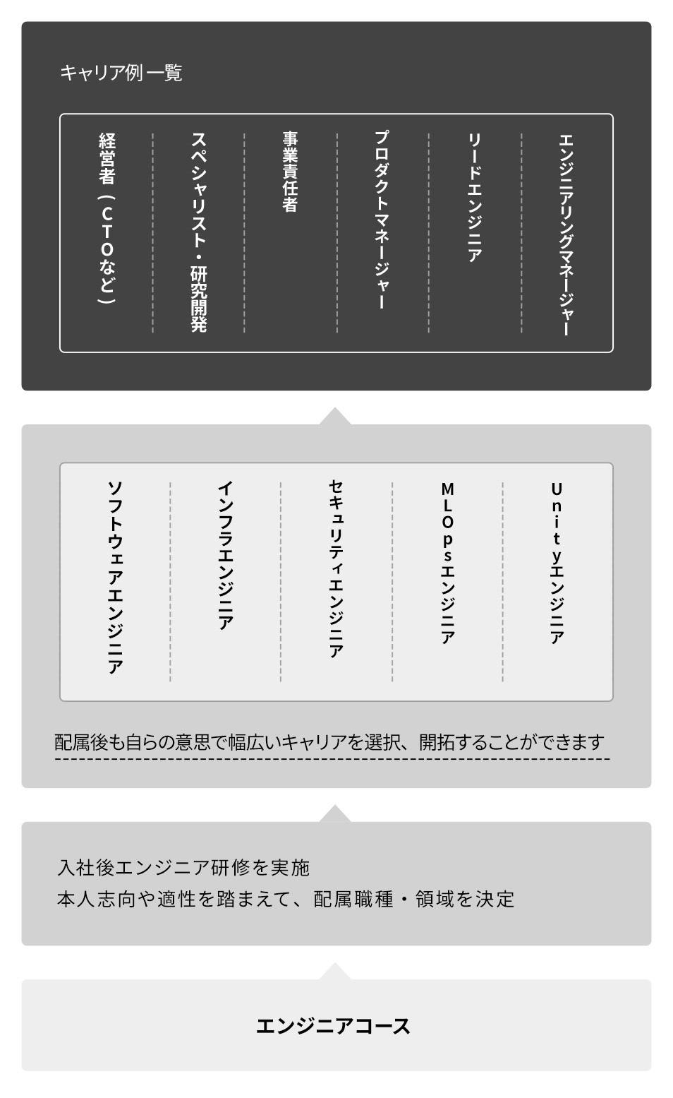 キャリアパス